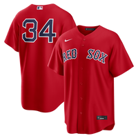 Boston Red Sox David Ortiz Nike Red Alternate Replica Jersey