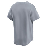 Brooklyn Dodgers Nike Gray Cooperstown Collection Limited Jersey