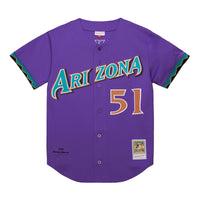 Arizona Diamondbacks Randy Johnson Mitchell & Ness Purple 2000 Throwback Authentic Jersey